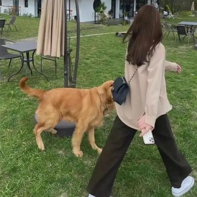 来自火星的孩子